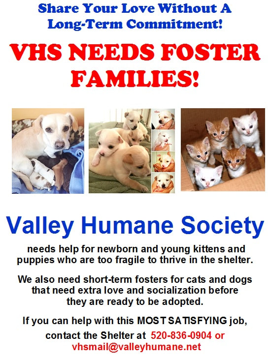 Adopt Cats - West Valley Humane Society